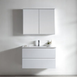Astra Wall Mounted Vanity 1000mm-Cabinet only