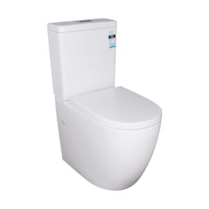 Denali Rimless Toilet Suite