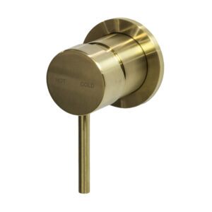 Cioso Shower Mixer Modern Brass Pin Down
